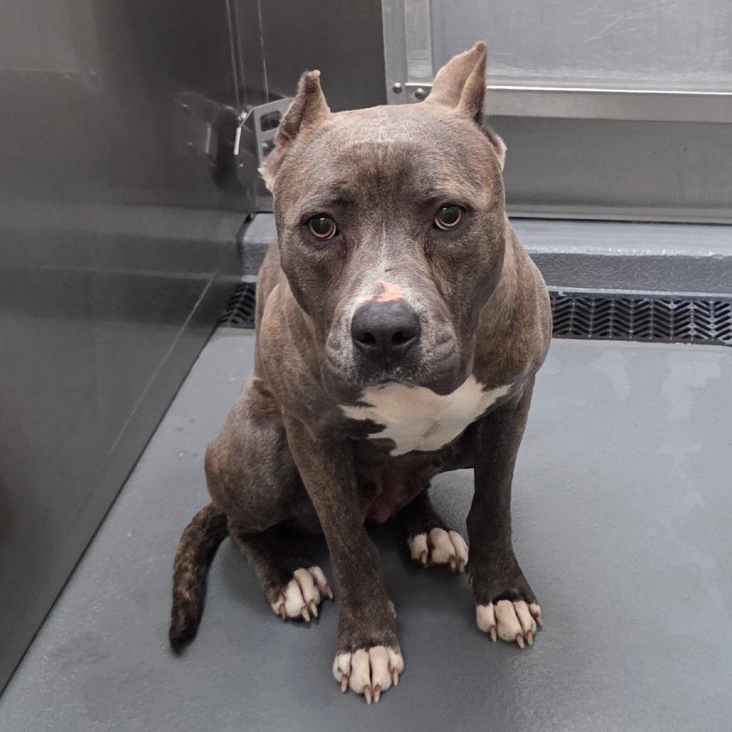 Rain — thumbnail 2