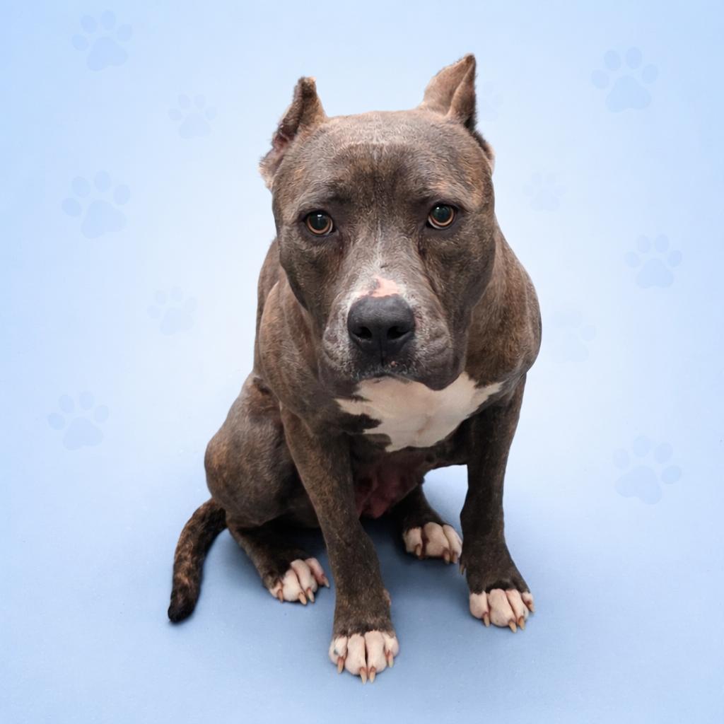 Rain — thumbnail 3