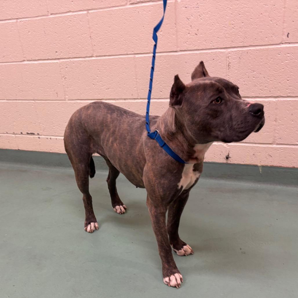 Rain — thumbnail 4