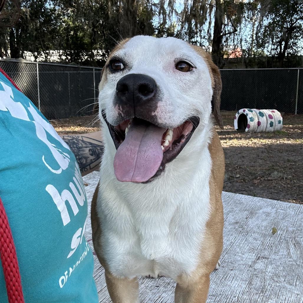 Benedict — thumbnail 3