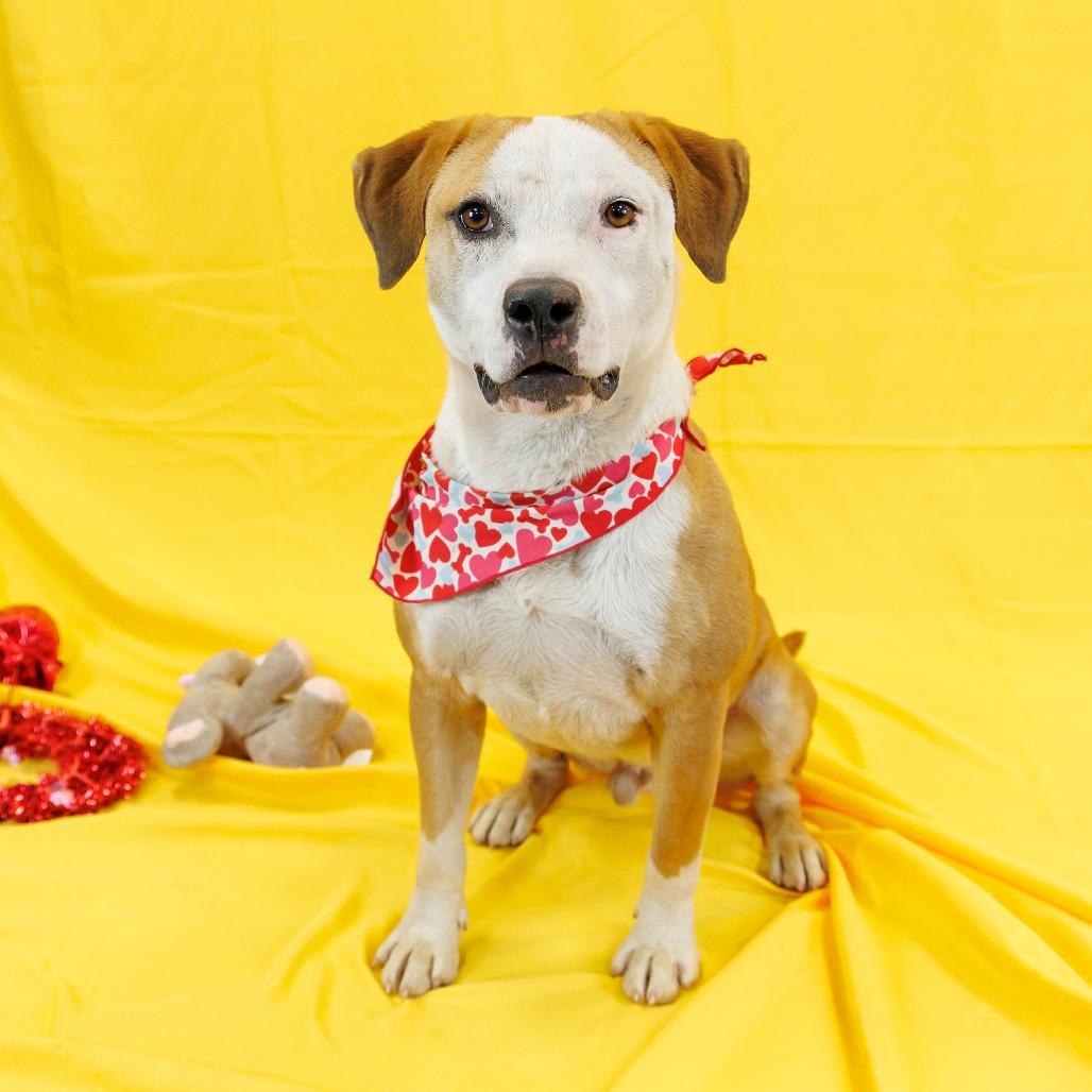 Benedict — thumbnail 5