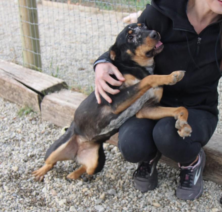 Coffee Bean thumbnail 3