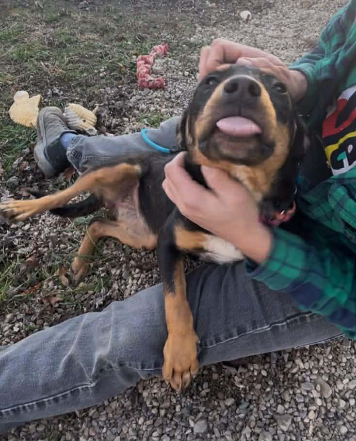 Coffee Bean thumbnail 5