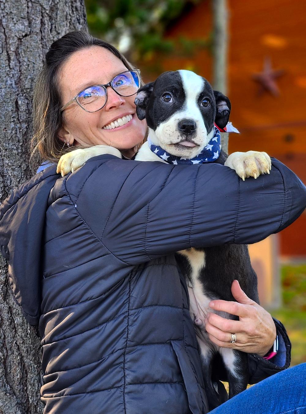 Tex, an adoptable Boxer in Cheboygan, MI, 49721 | Photo Image 2