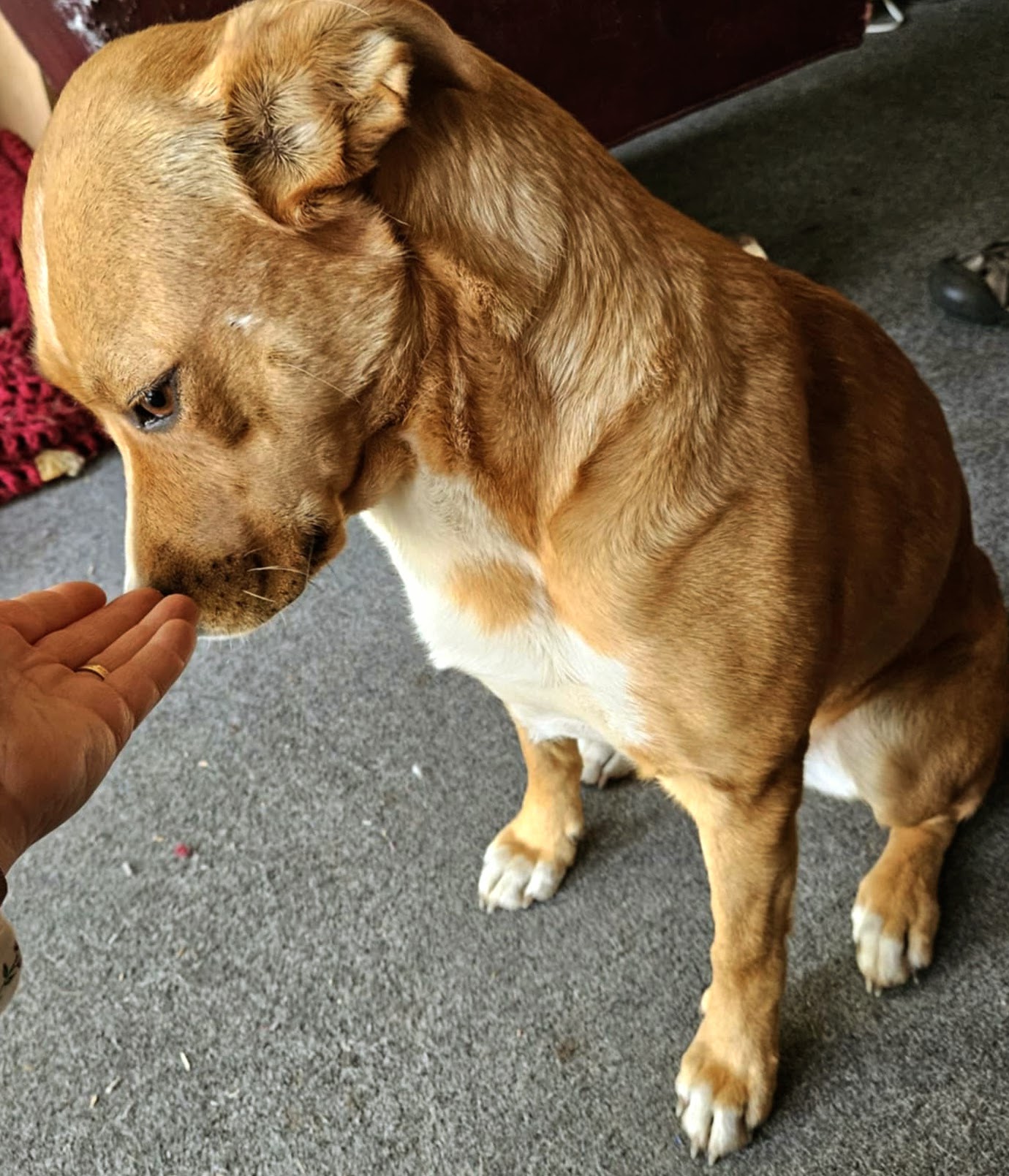 Moon-wanna Hang!? thumbnail 2