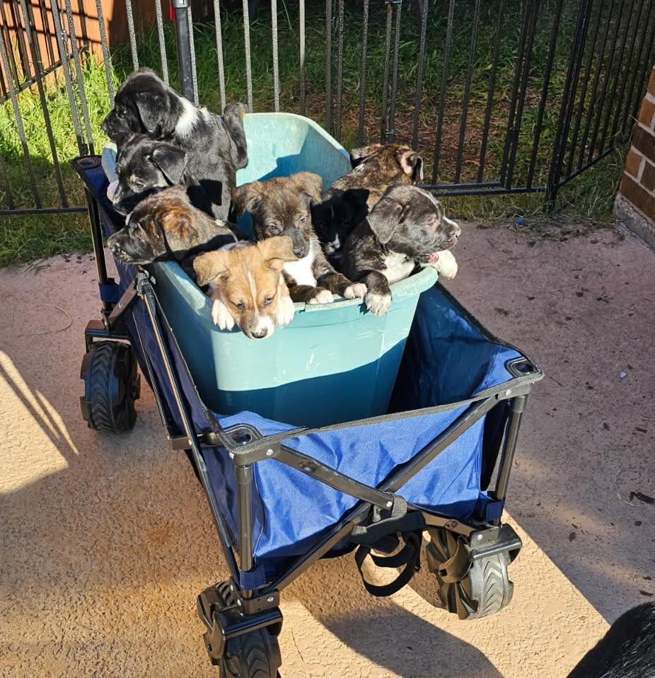 Root — thumbnail 3