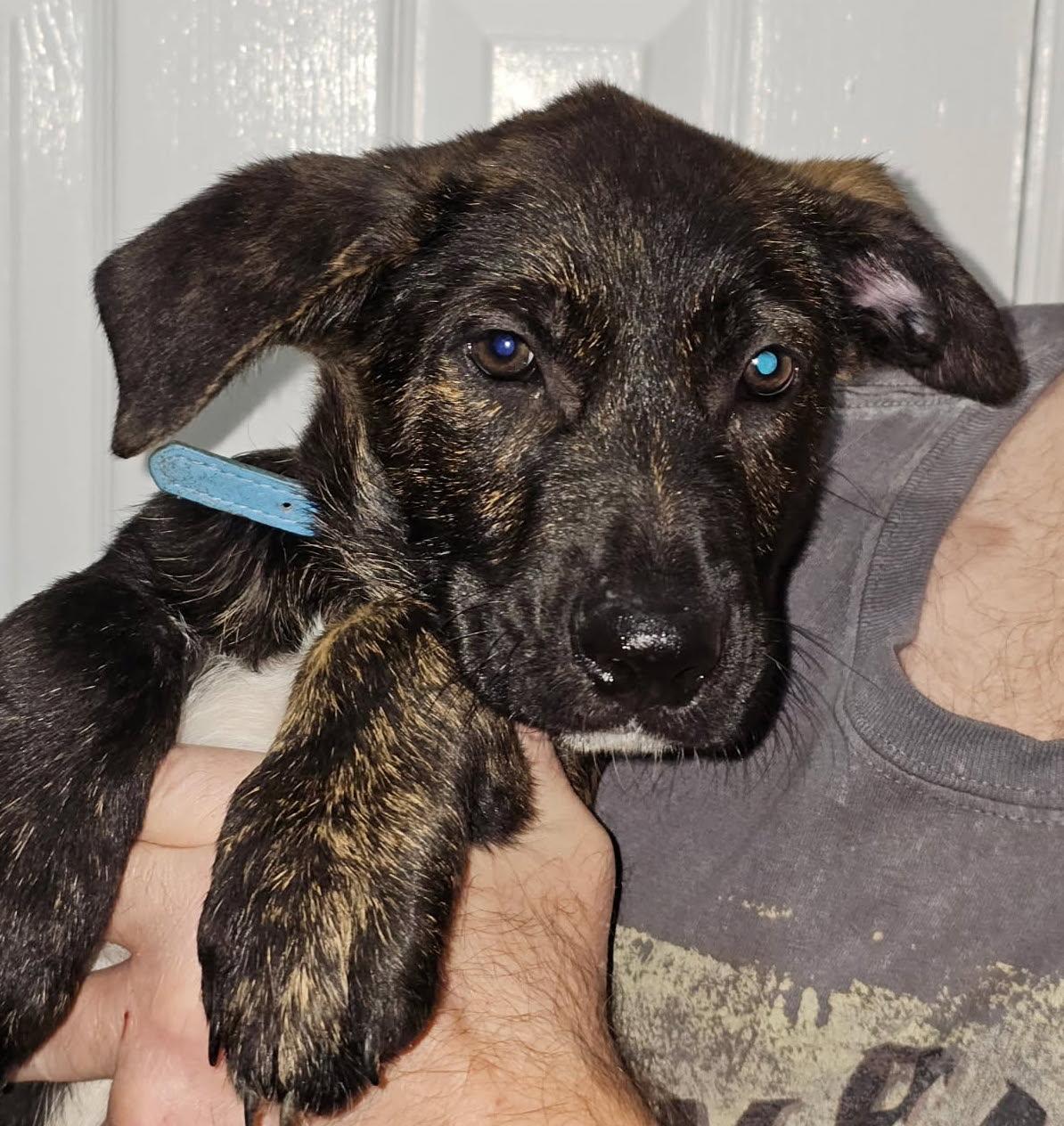 Root — thumbnail 4