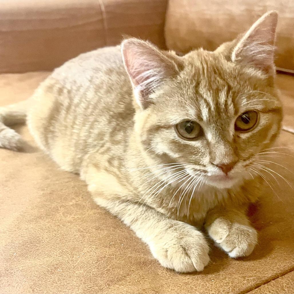 Kate — thumbnail 2