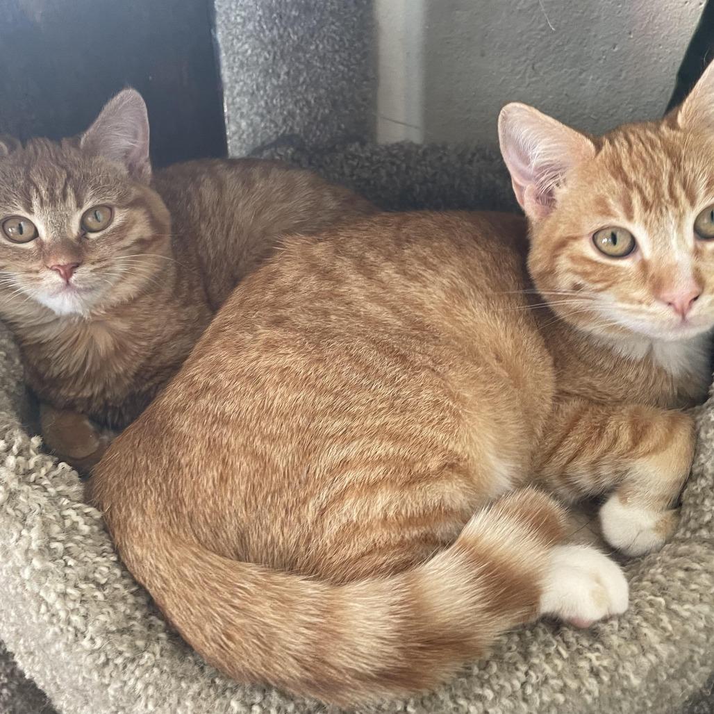 Kate — thumbnail 3