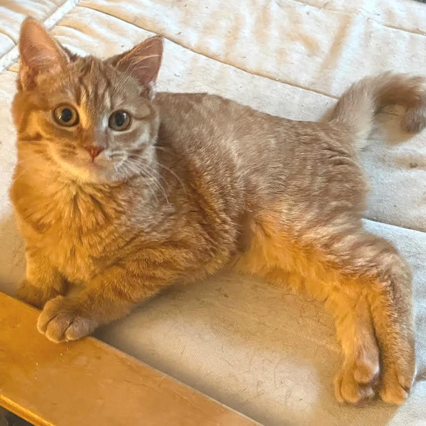 Kate — thumbnail 4