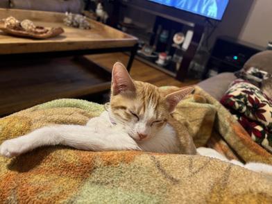 Lucy — thumbnail 6