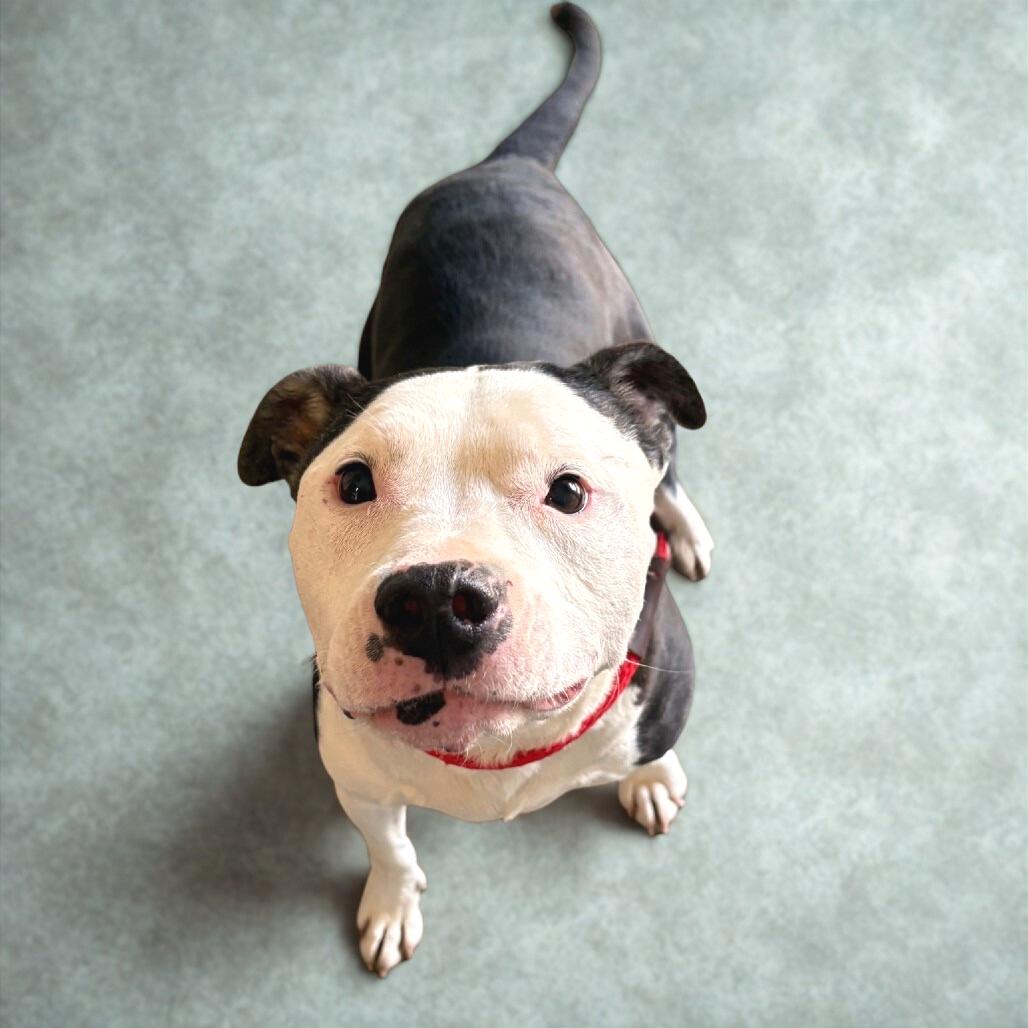 Sallie Mae — thumbnail 3