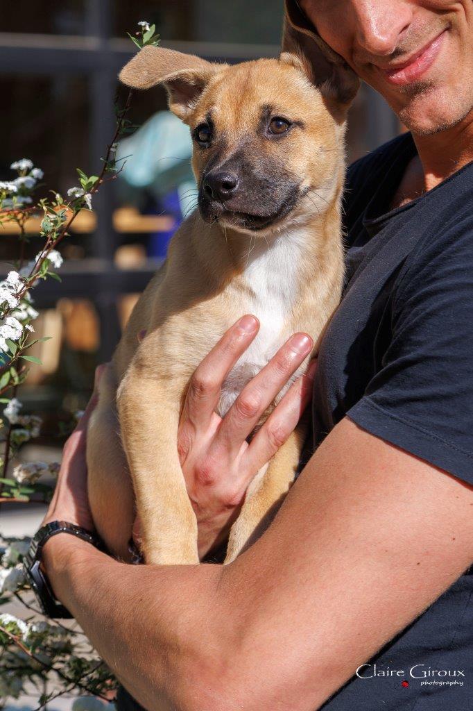 Enlarge Kiwi, a Adoptable Mixed Breed in Carrollton, TX image 2/2