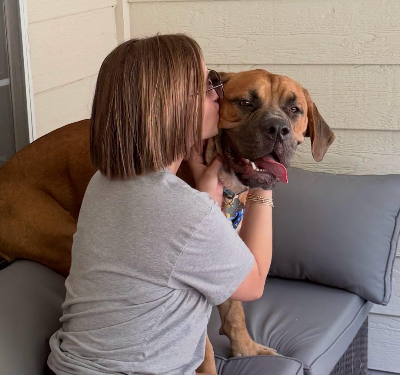 Odysseus, an adopted Mixed Breed in Memphis, TN image 5/6