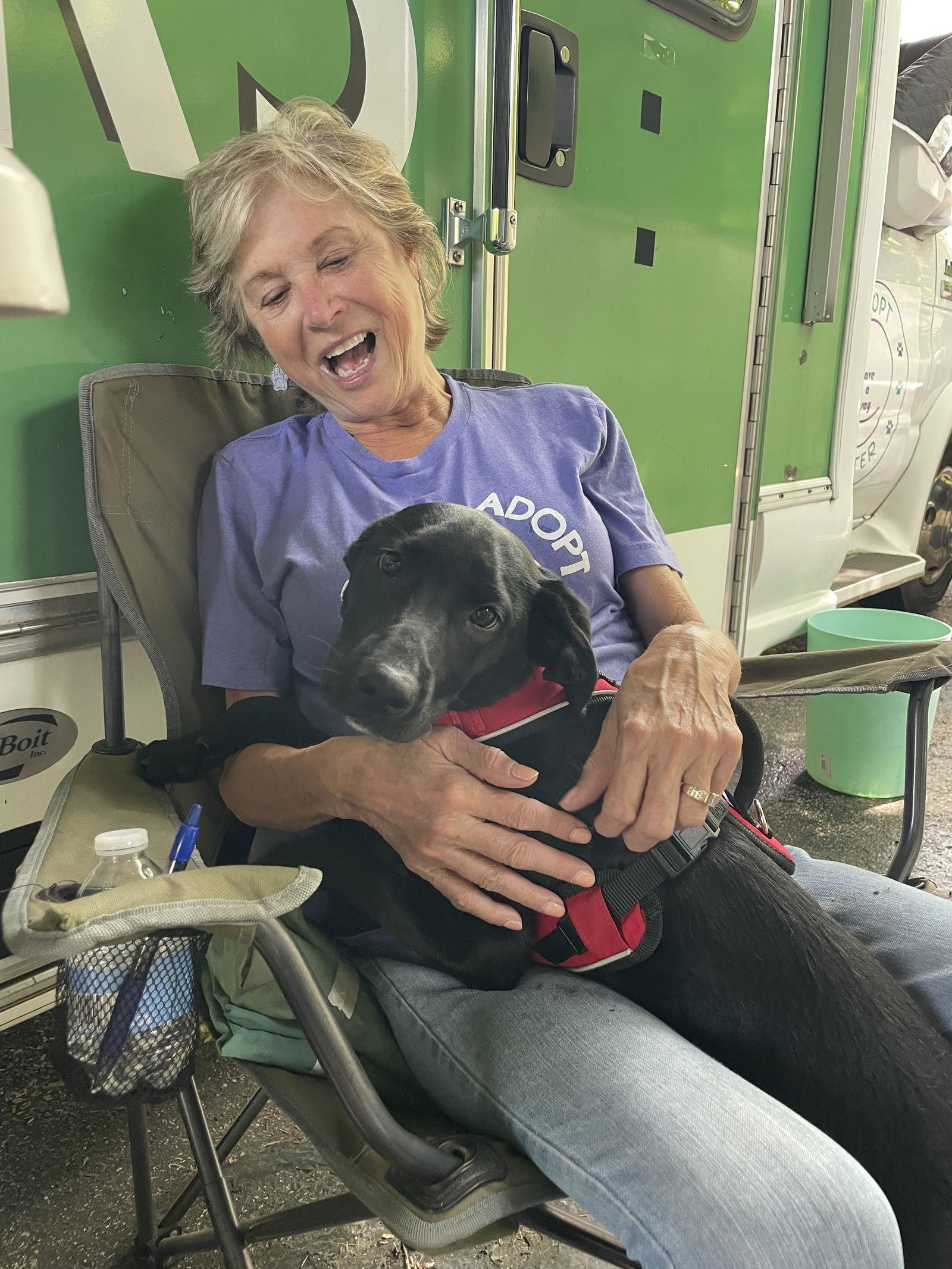 Elle, a Adoptable Labrador Retriever in Mobile, AL image 3/3