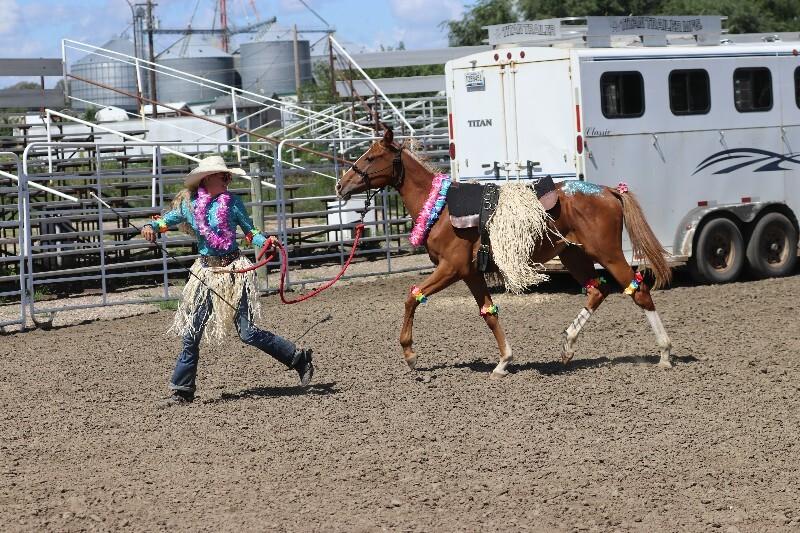 Enlarge Ivy, a Adoptable Paint / Pinto in Scotland, SD image 1/6