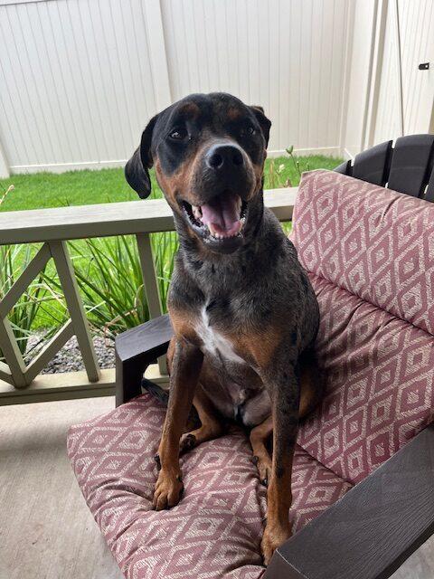 Duke