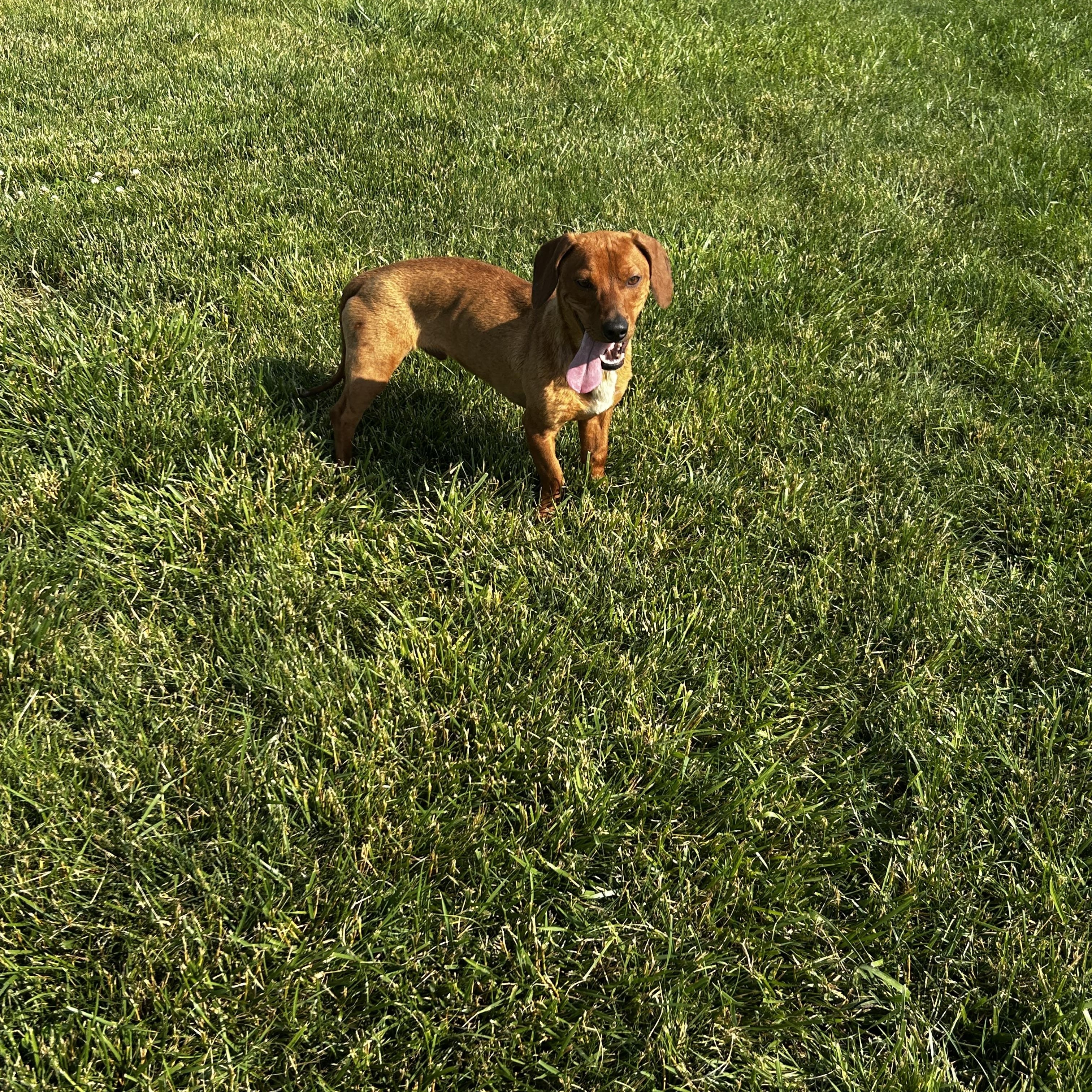 Cooper photo 3