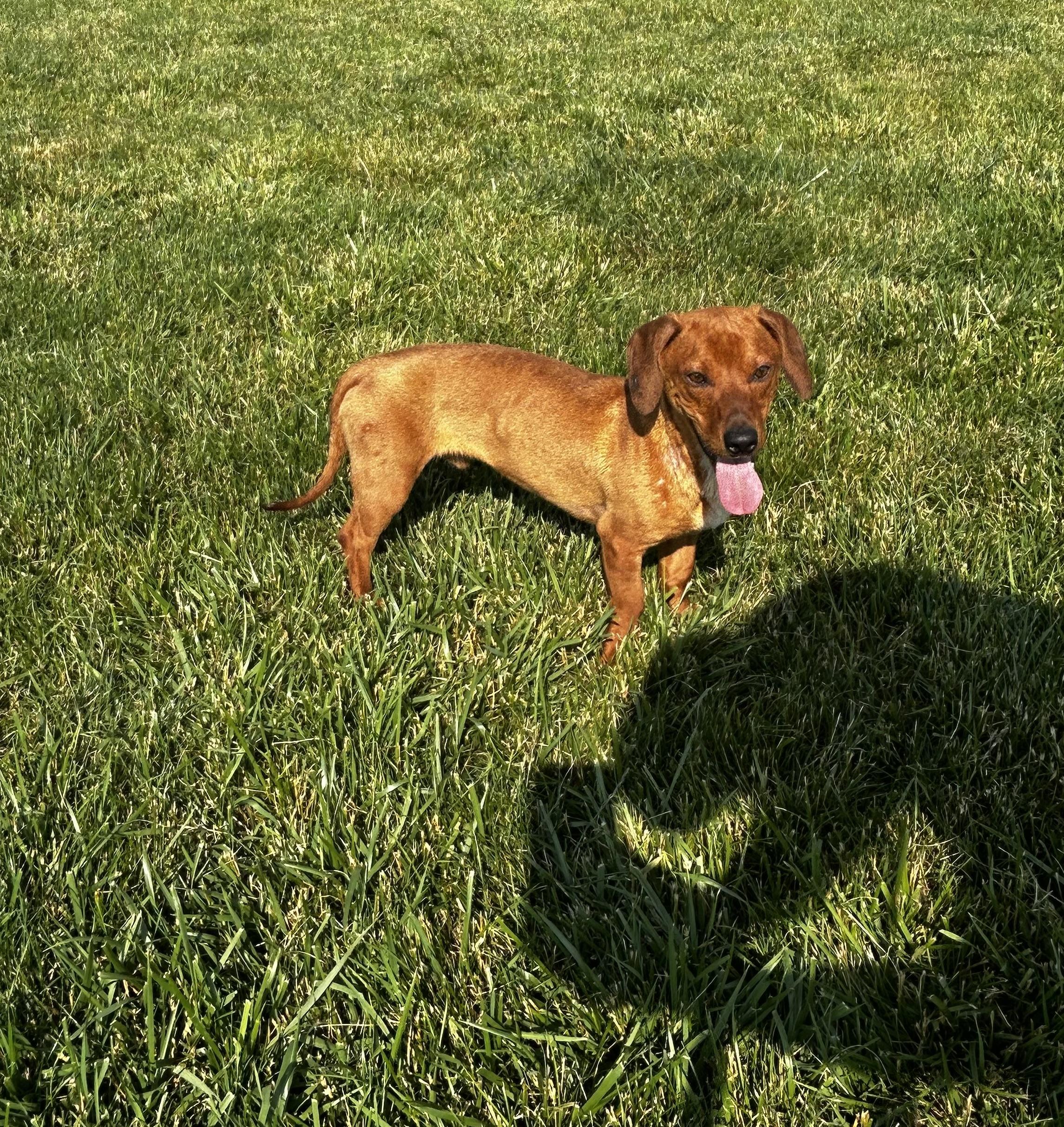 Cooper photo 5