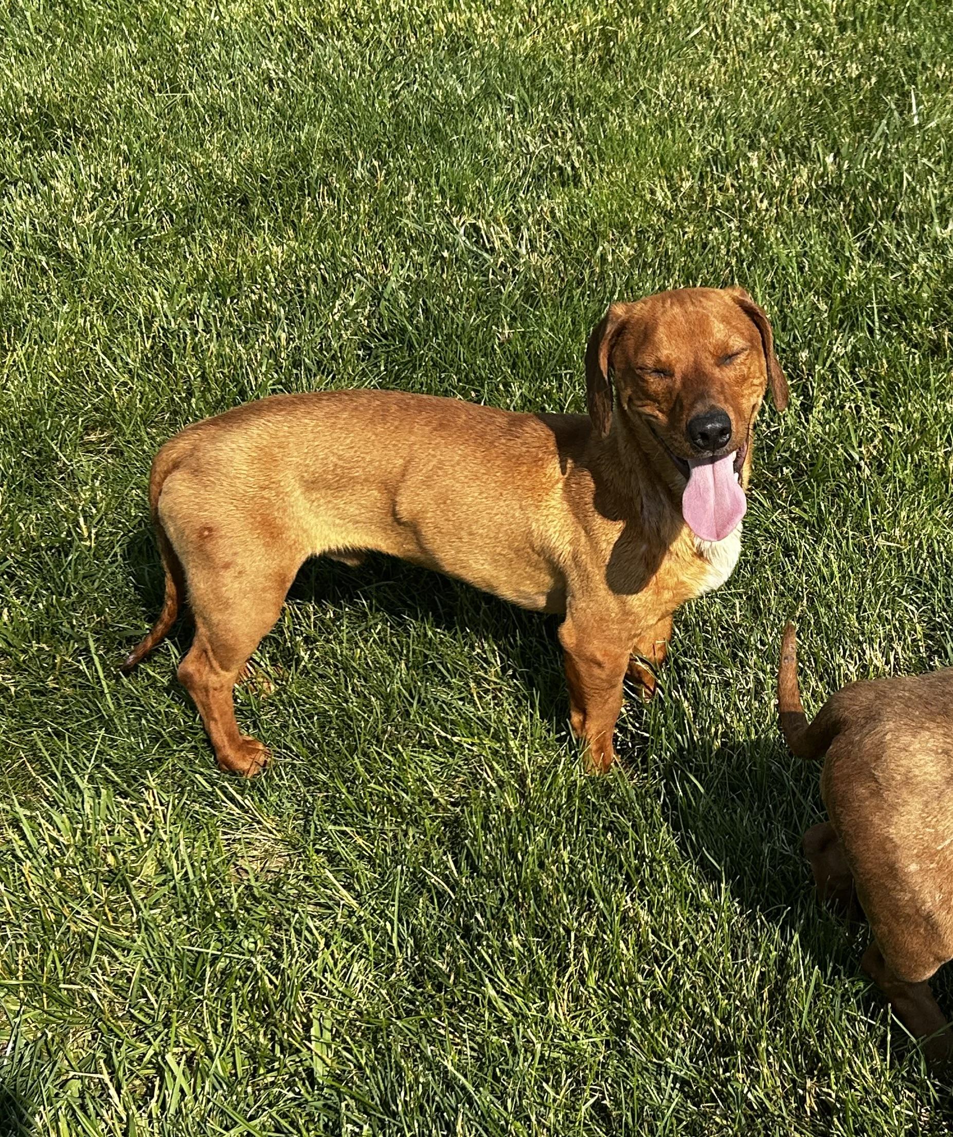 Cooper photo 1