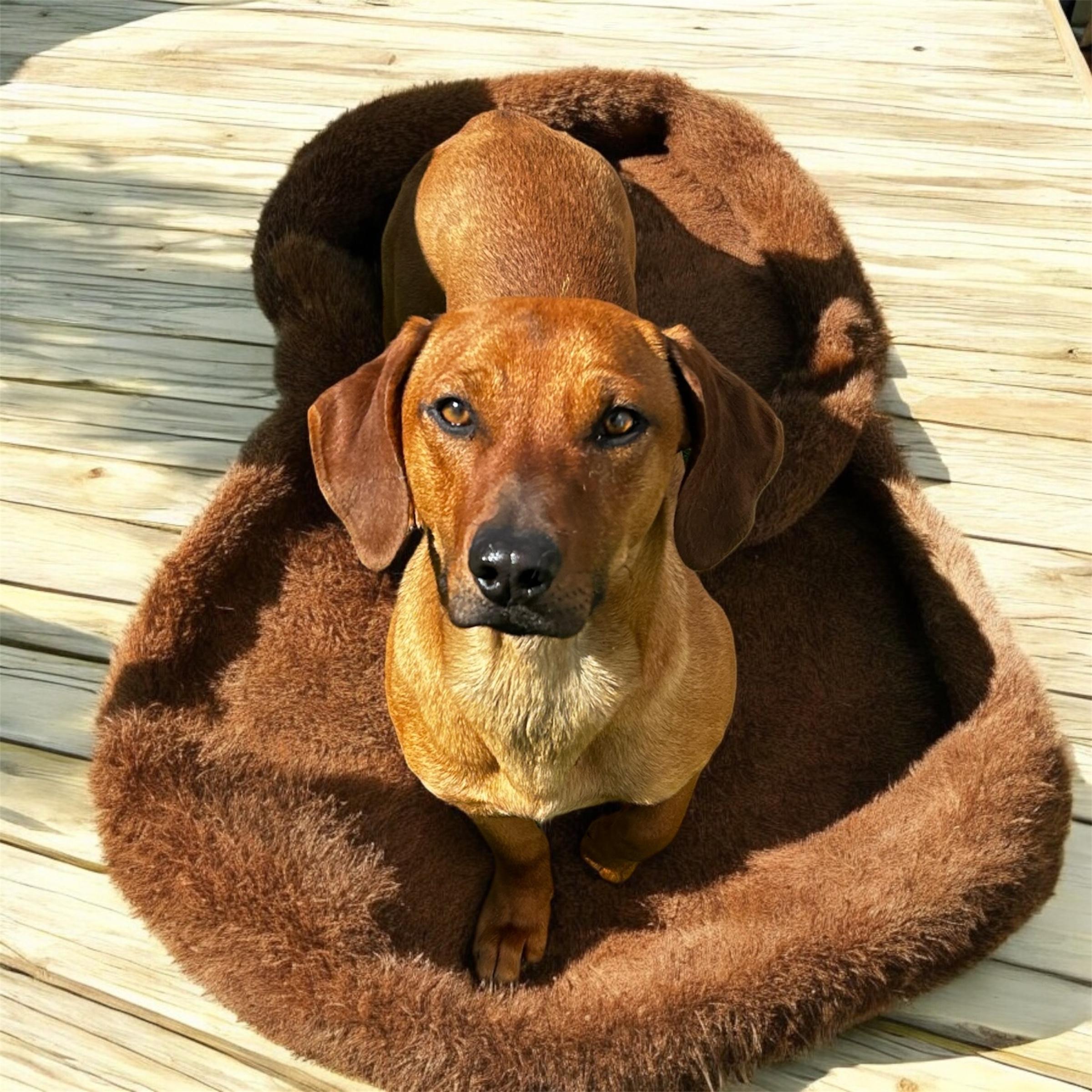 Cooper photo 2