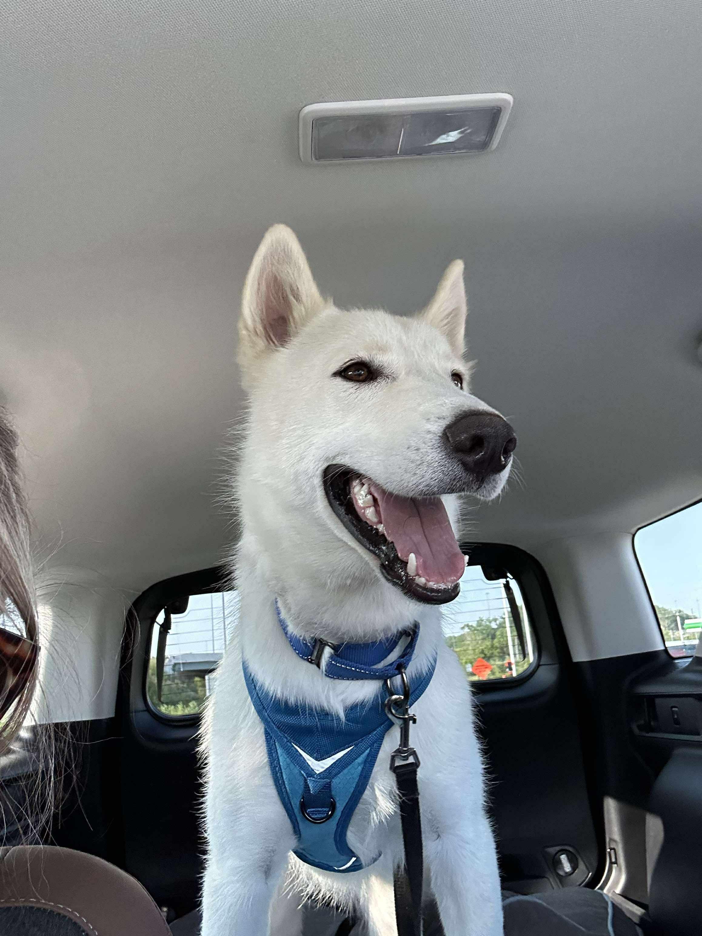 Zeus
