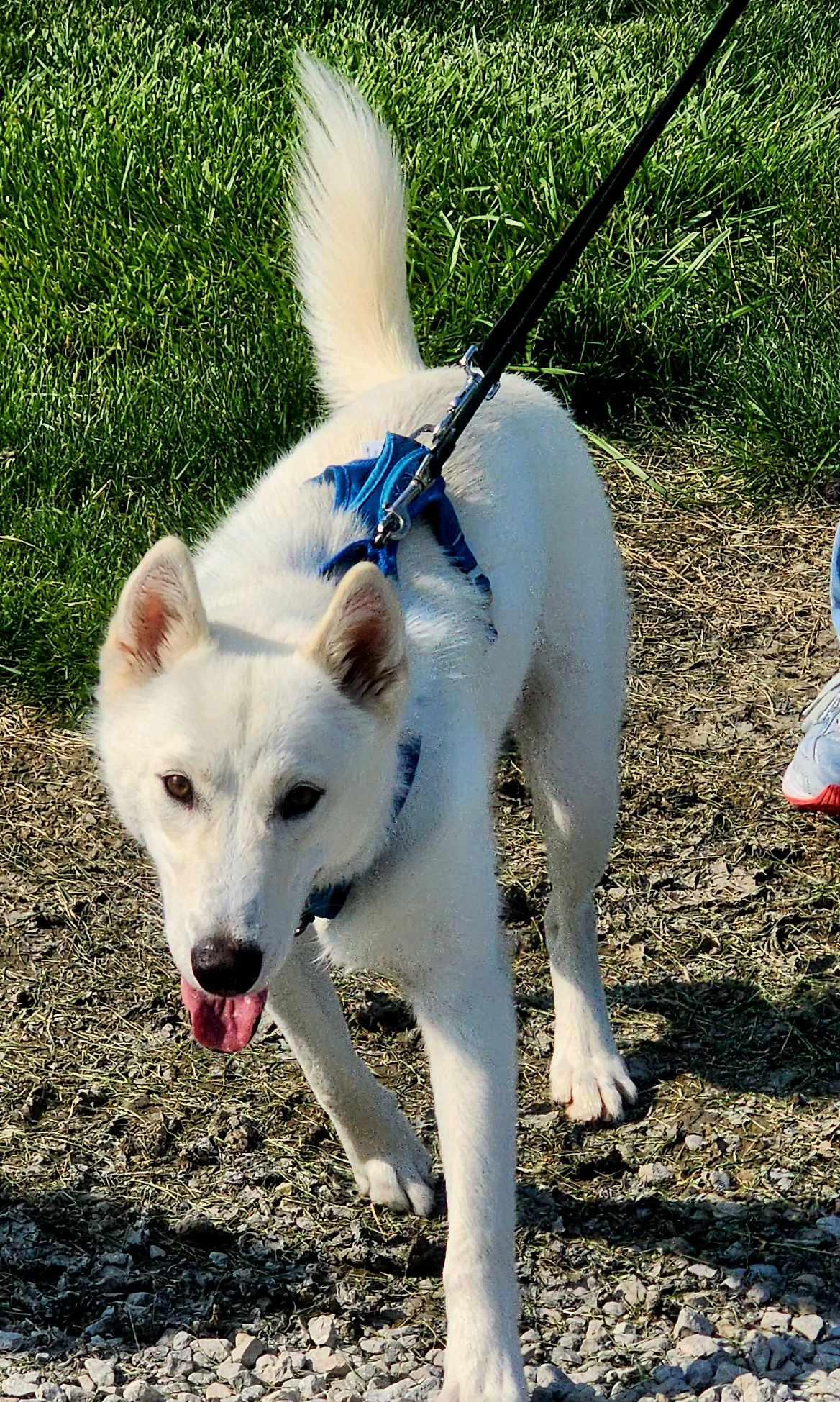 Zeus