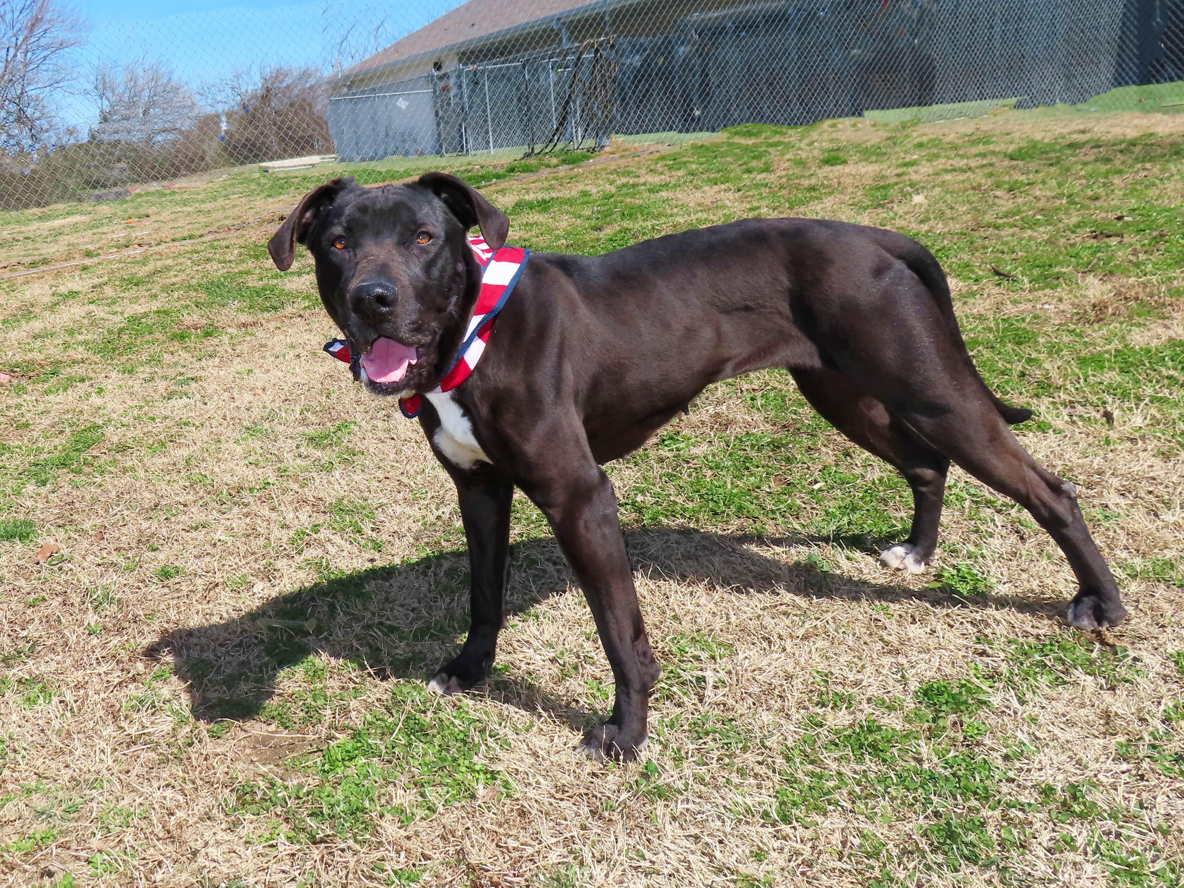 Xena 7109 photo 5