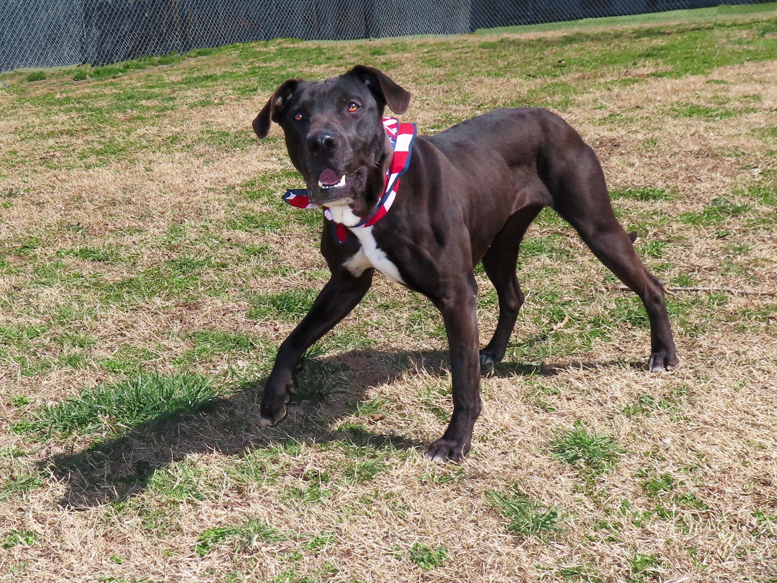 Xena  7109 photo 3