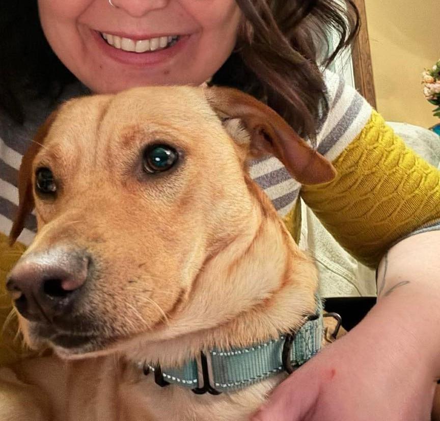 Enlarge Lester, an adoptable mixed breed in Crescent city, CA image 2/4