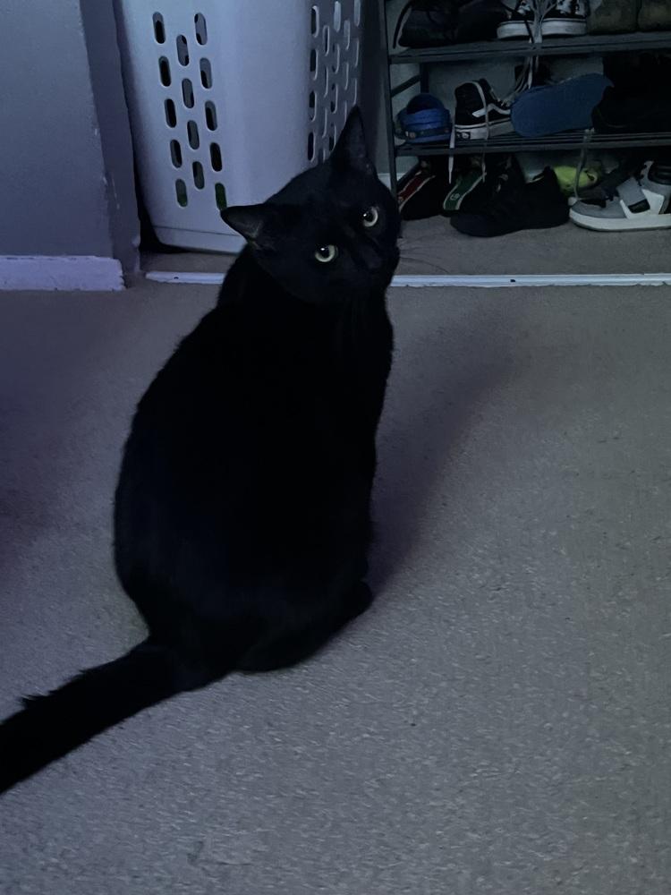 Ashford — thumbnail 3