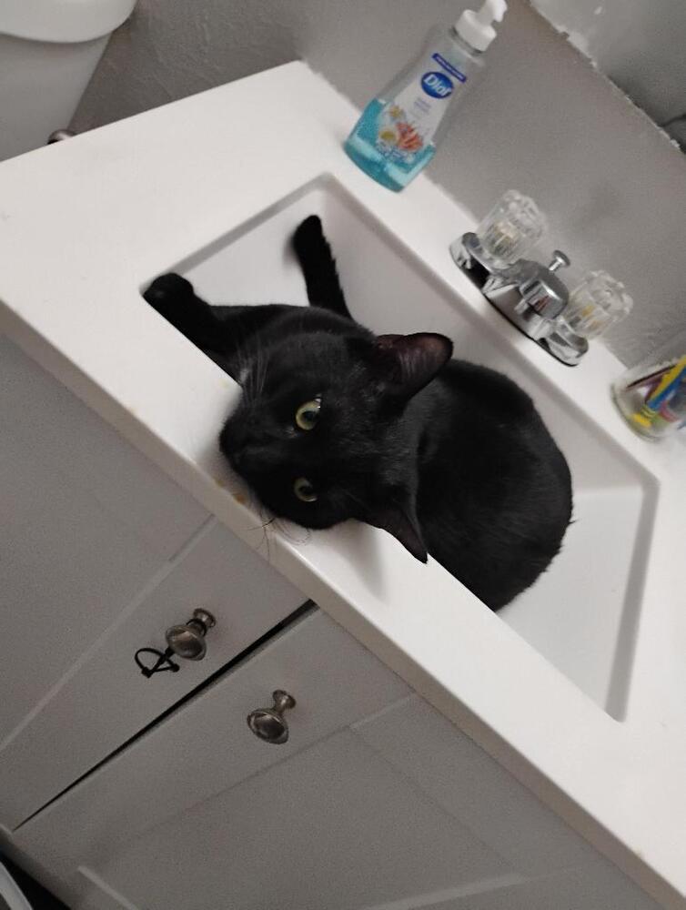 Ashford — thumbnail 4