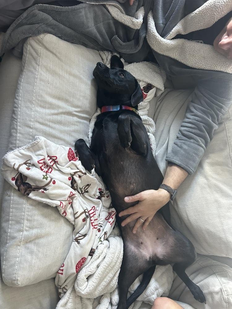 Delightful Dina thumbnail 2