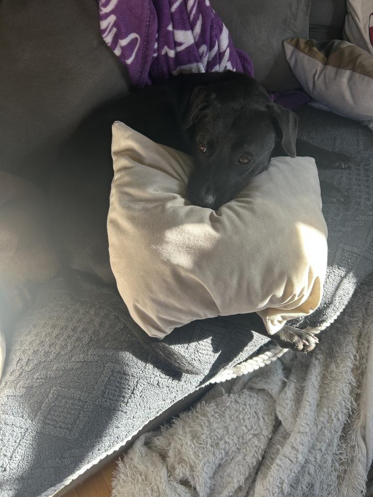 Delightful Dina thumbnail 3