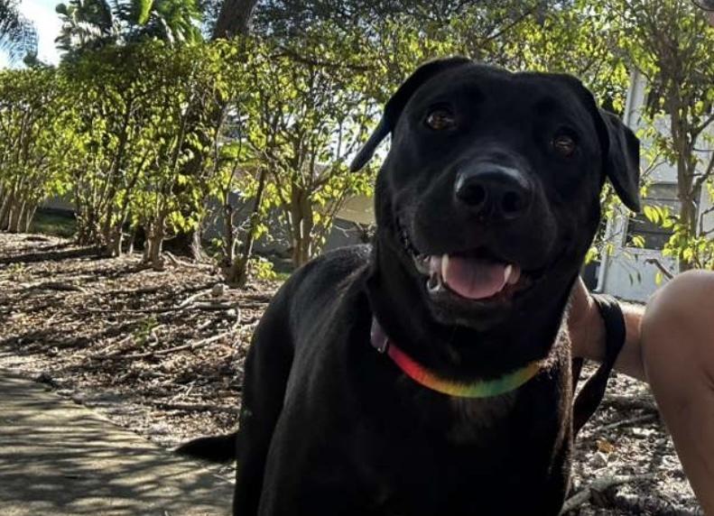 Delightful Dina thumbnail 5