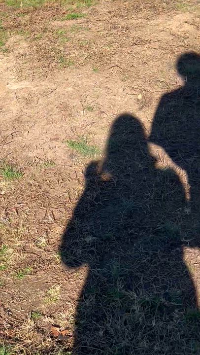 Enlarge Butter, a Adoptable American Staffordshire Terrier in Charles City, VA video 4/4