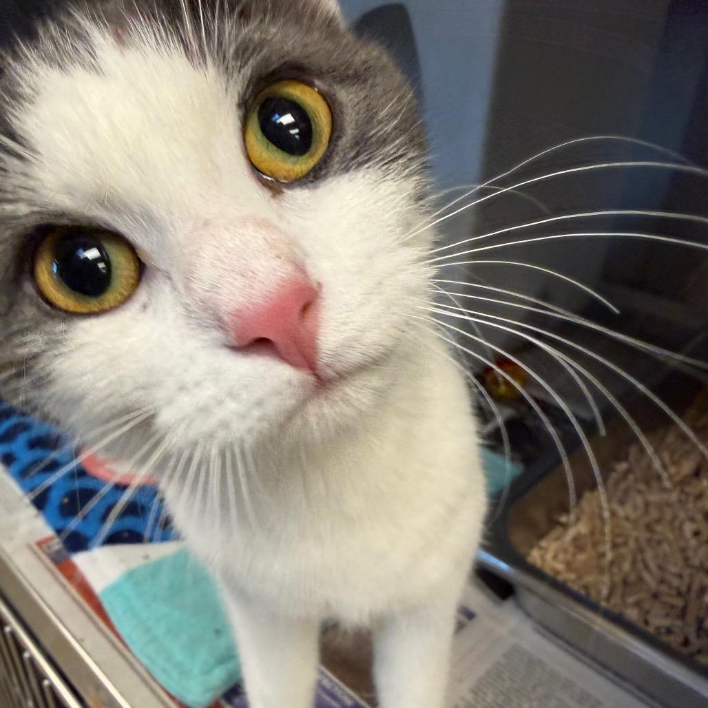 Missy — thumbnail 2