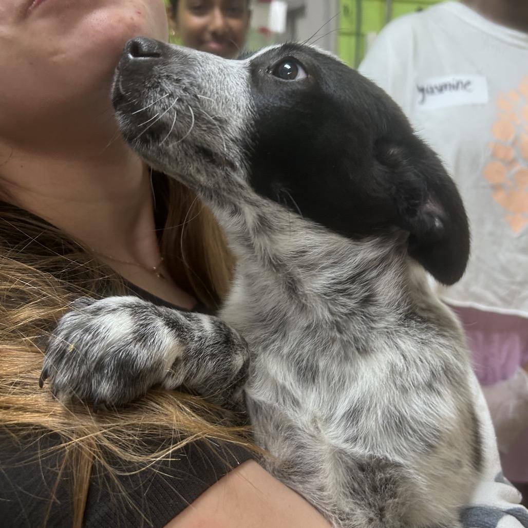 Coconut Cutie — thumbnail 2