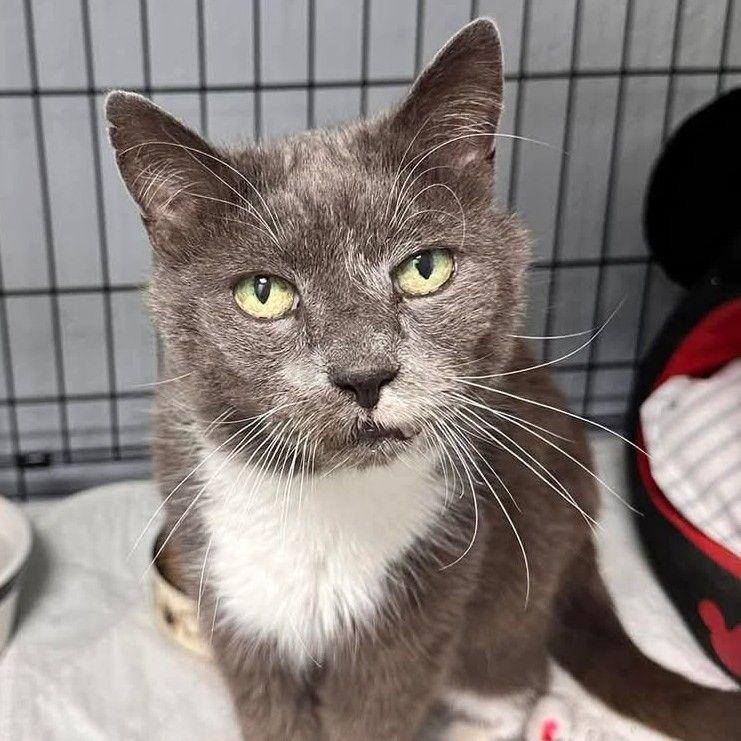 Butch — thumbnail 5