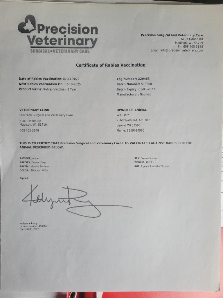 Kia, a Adoptable mixed breed in sun prairie, WI image 2/4