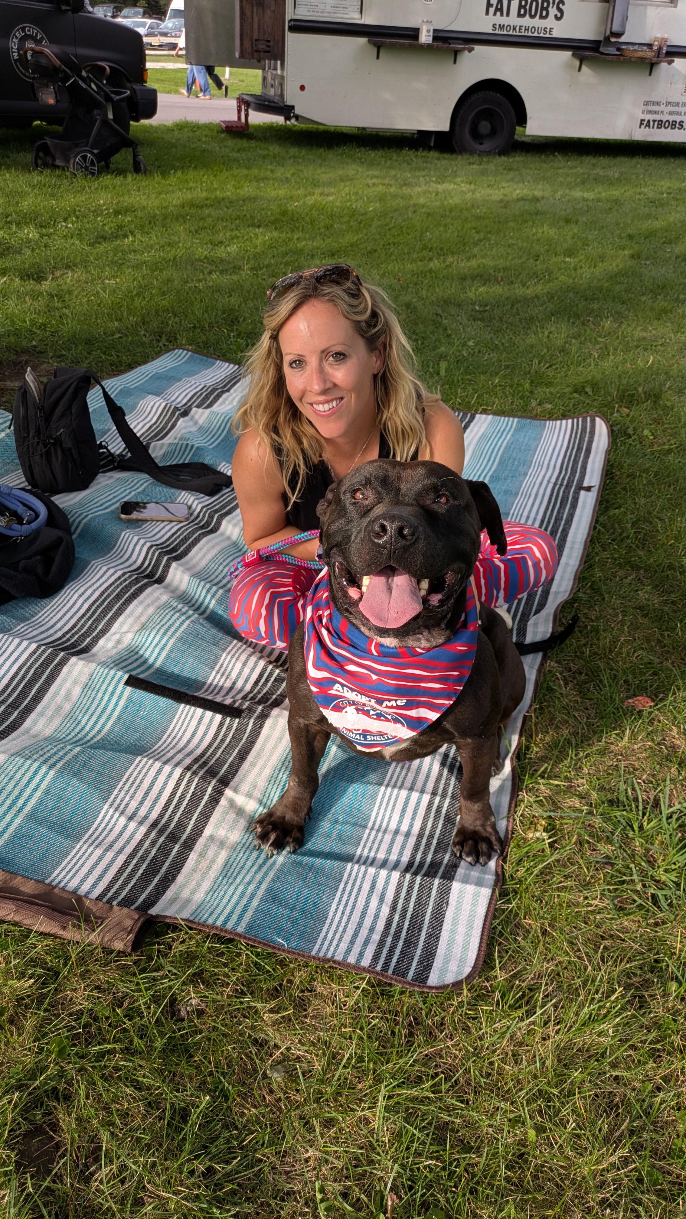 Morris Chestnut, a ADOPTABLE mixed breed in Buffalo, NY image 2/6