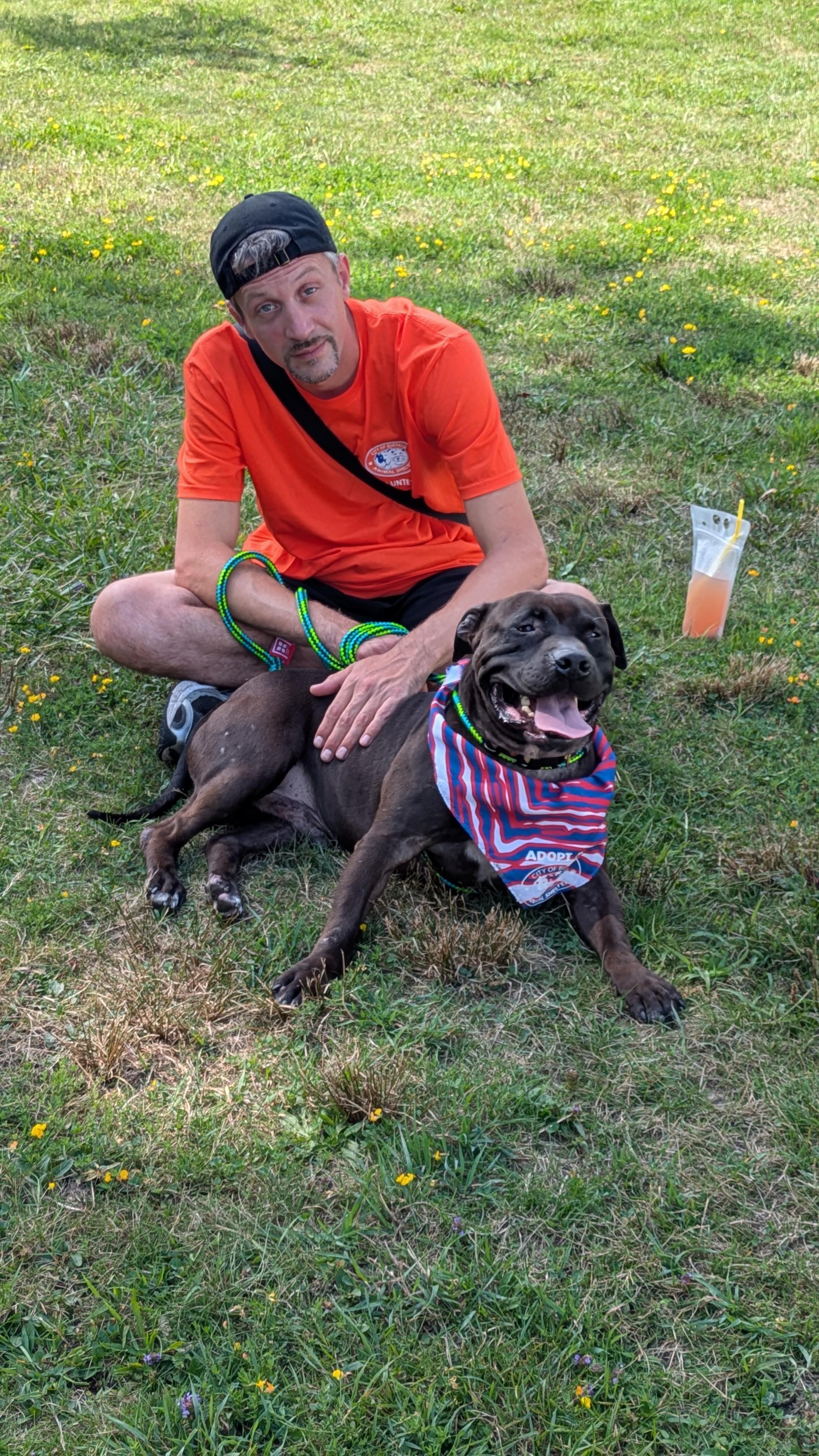 Morris Chestnut, a ADOPTABLE mixed breed in Buffalo, NY image 5/6