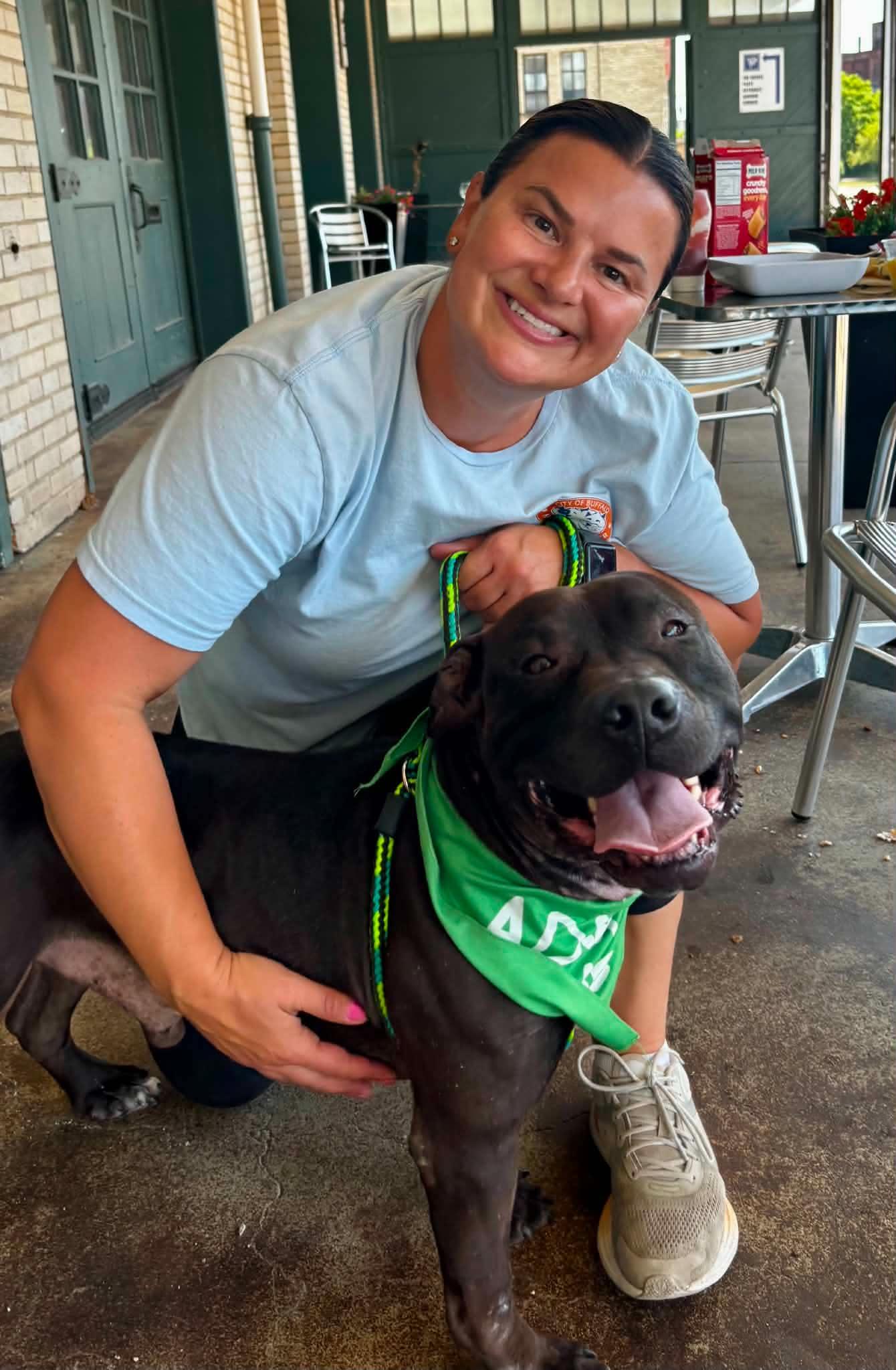 Morris Chestnut, a ADOPTABLE mixed breed in Buffalo, NY image 3/6