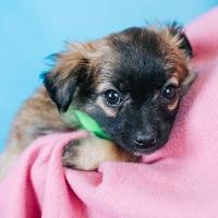 Charlotte thumbnail 3