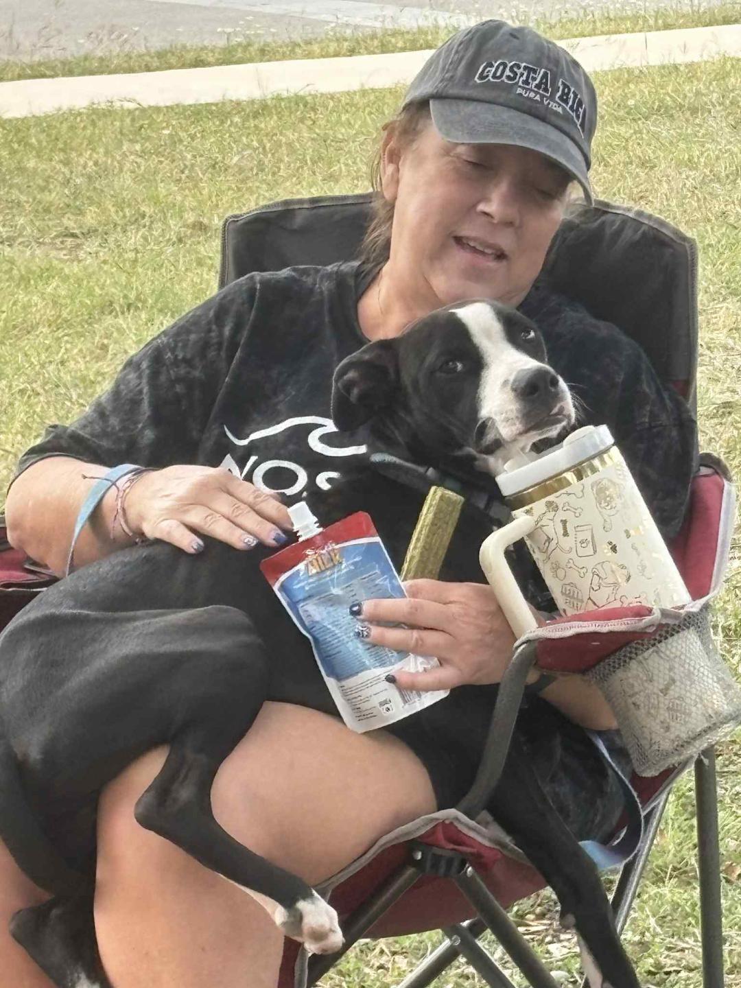 Trace, a Adopted mixed breed in Houston, TX image 2/6