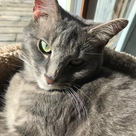 Abby~ Courtesy Post