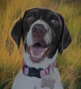 Maggie