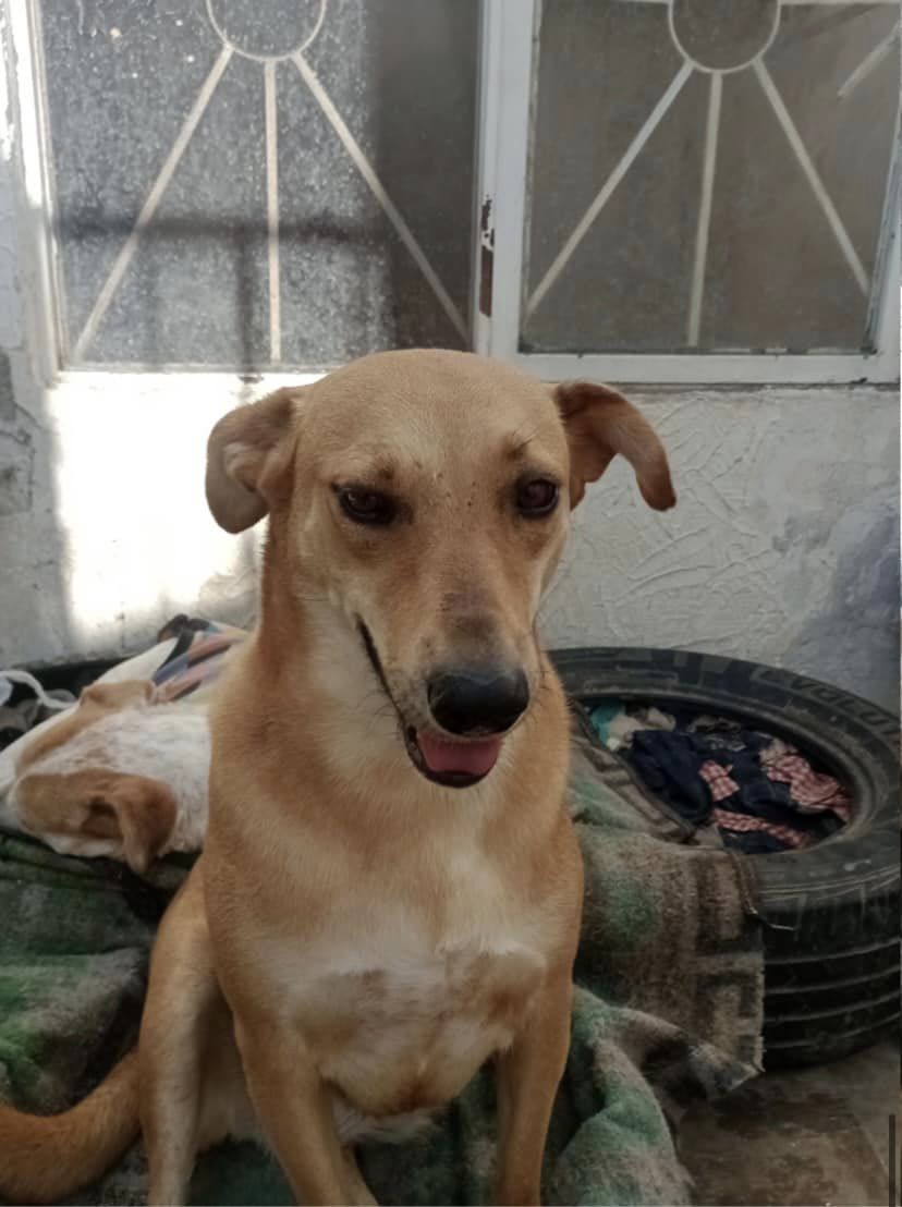 Mia (20240517-08) — thumbnail 2