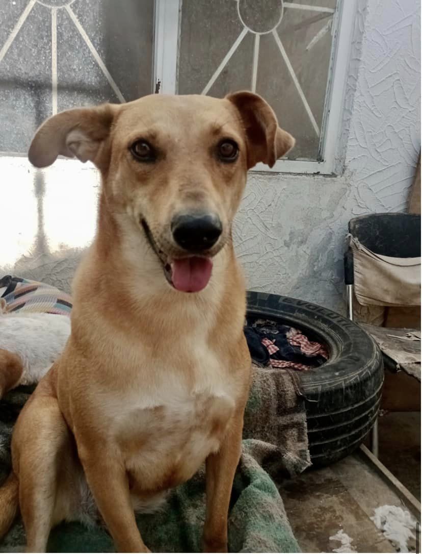 Mia (20240517-08) — thumbnail 3