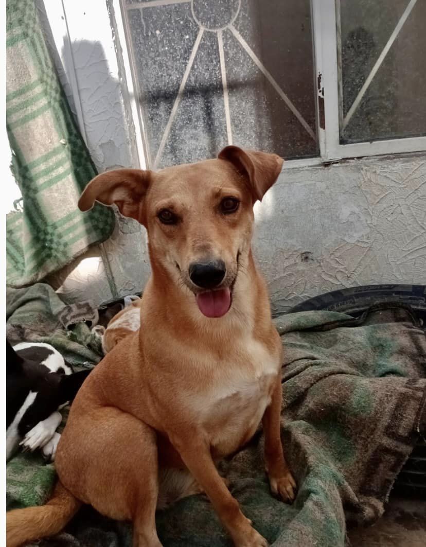 Mia (20240517-08)